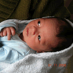 12 days old